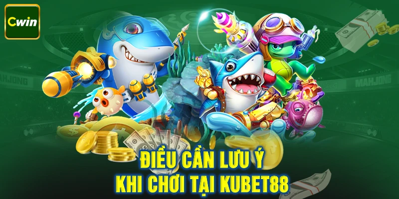 Những yếu tố cần xem xét khi tham gia giải trí tại Kubet88